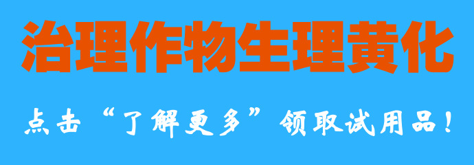 百香果哪个品种最好结果多,百香果什么品种又大又甜