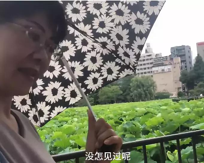 起底日本免税店“特供”：中国人每年天价消费却换不来尊重！