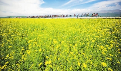 感受高原骑行的独特魅力,高原骑行挑战