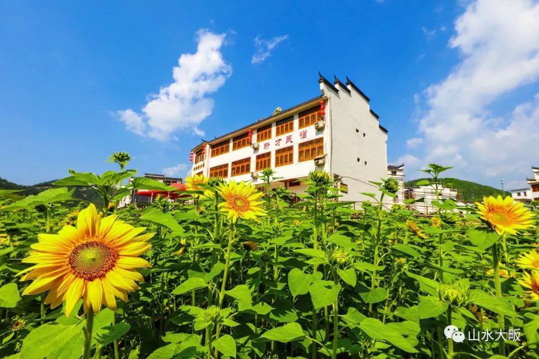 浙江浦江便宜又好的民宿,浦江村落民宿