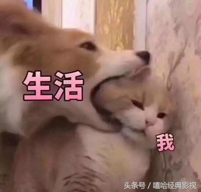 花光10个亿的条件,花光十个亿的流程