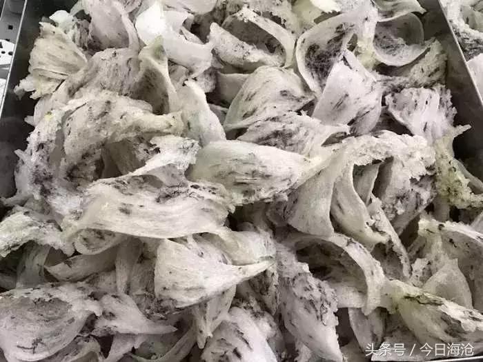 重量级喜讯！海沧这家企业获进口毛燕加工资质，全国仅两家