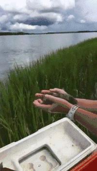 分享个笑话段子给大家乐一乐,最新10个笑话发给大家乐一乐