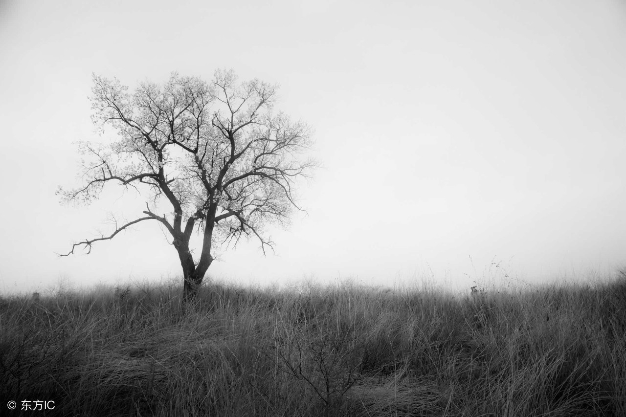 怎么约会微信上的女生？可以试一试古人的泡妞方法