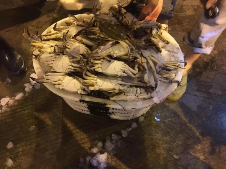 梭子蟹水潺,水潺和梭子蟹