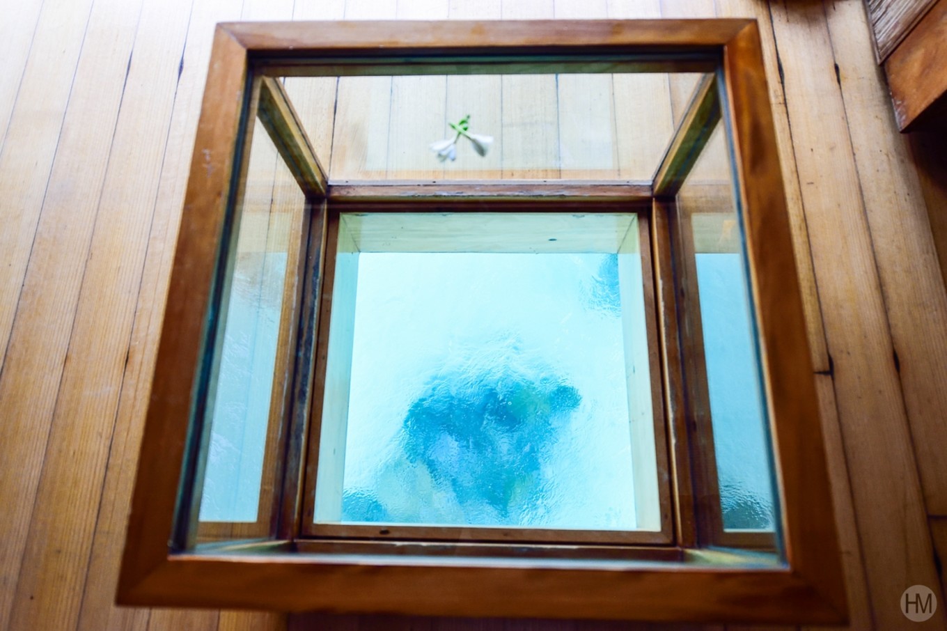 大溪地最接近天堂的地方,大溪地波拉波拉岛泳池