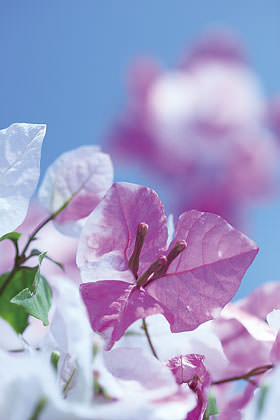 你不知道的相机功能,你所不知道的摄影师