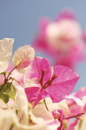 你不知道的相机功能,你所不知道的摄影师