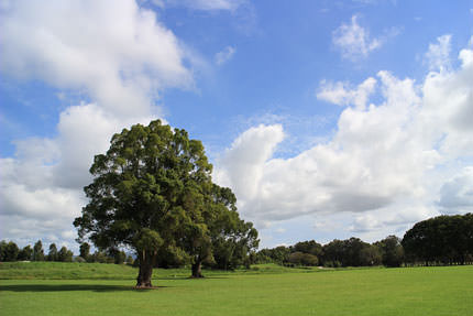 你不知道的相机功能,你所不知道的摄影师