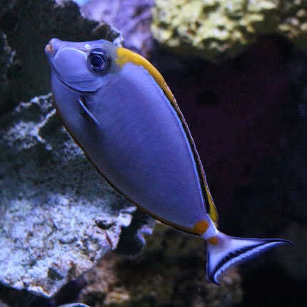 你不知道的相机功能,你所不知道的摄影师