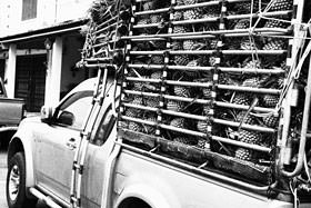 你不知道的相机功能,你所不知道的摄影师