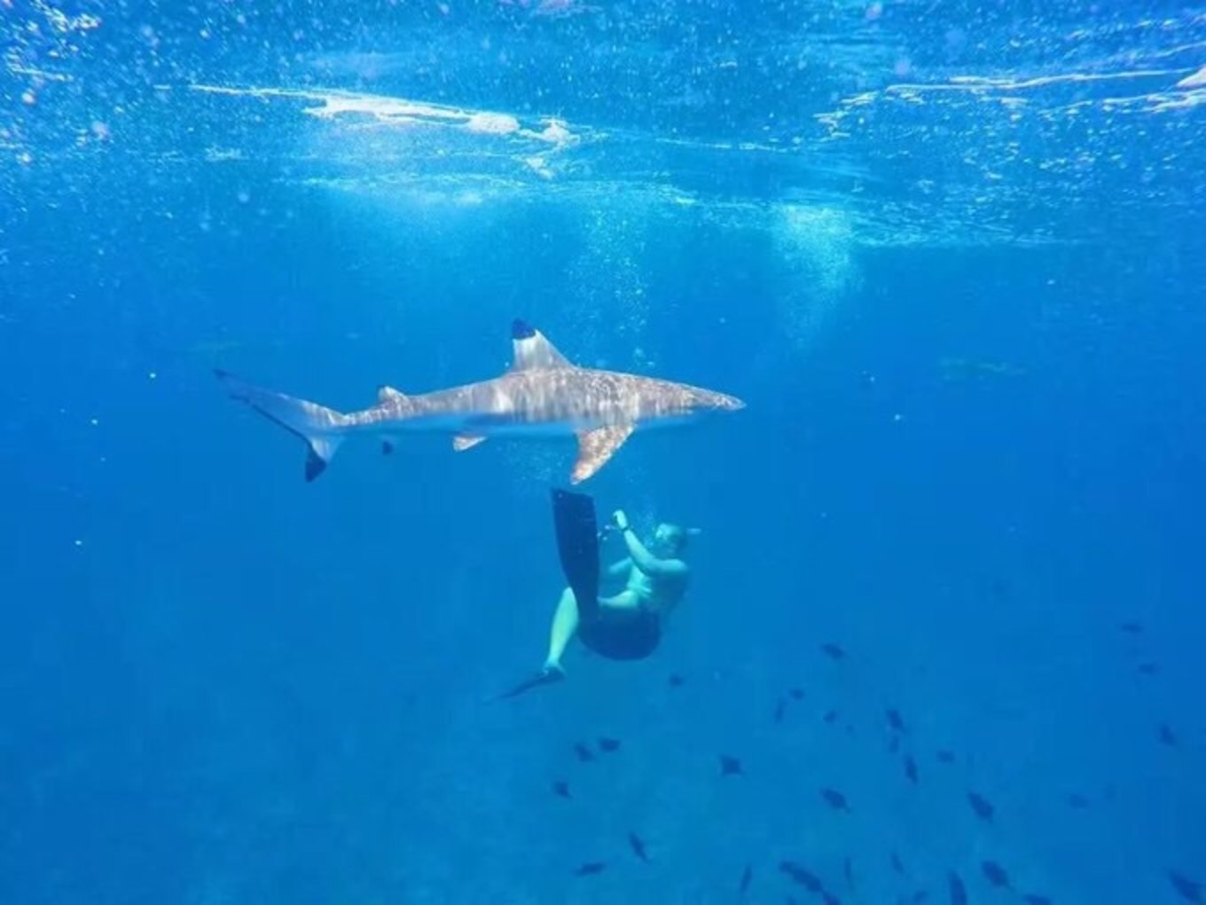 大溪地最接近天堂的地方,大溪地波拉波拉岛泳池