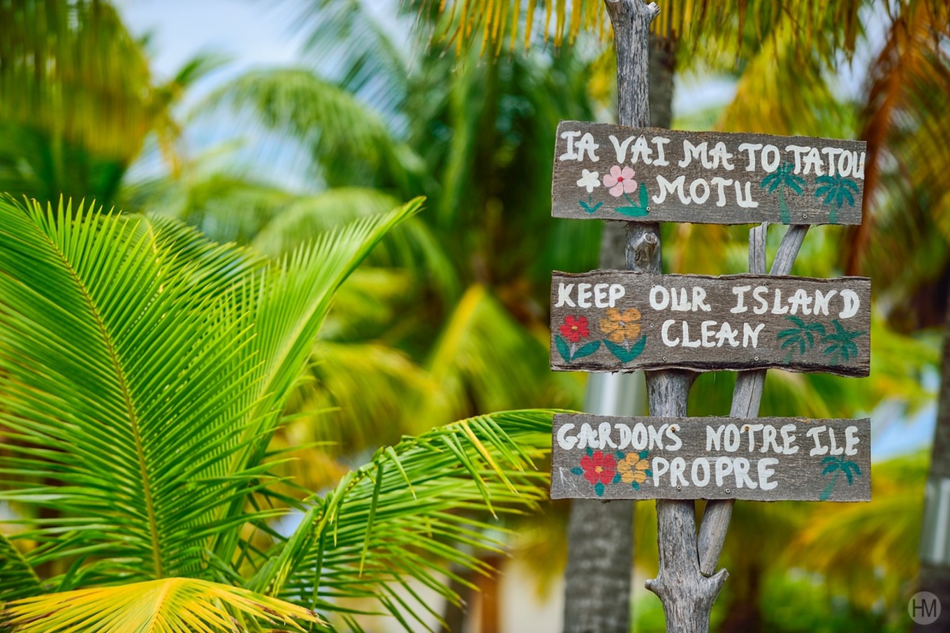 大溪地最接近天堂的地方,大溪地波拉波拉岛泳池