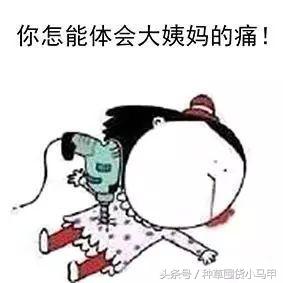 姨妈期间胡吃海塞会胖吗,大姨妈期间胡吃海喝长胖吗
