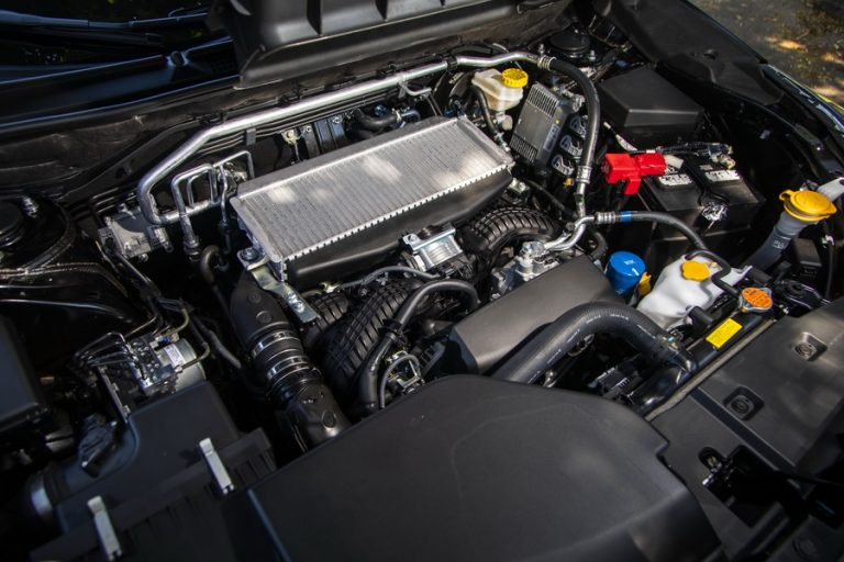 睡醒的狮子,睡醒的狮子正在慢慢苏醒