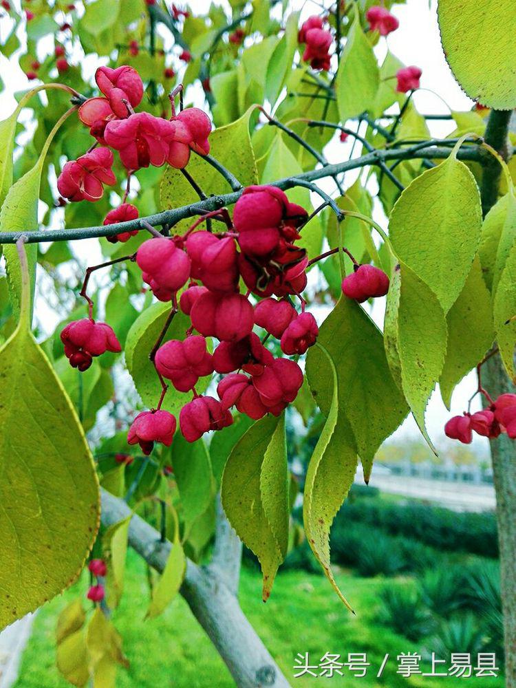 窟窿山,凤凰山星月