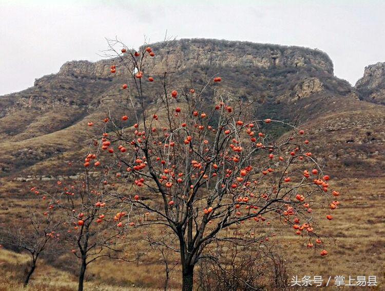 窟窿山,凤凰山星月
