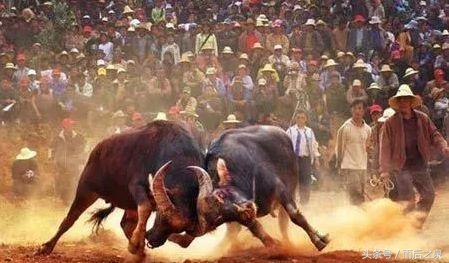 云南火把节狂欢攻略,云南火把节狂欢夜