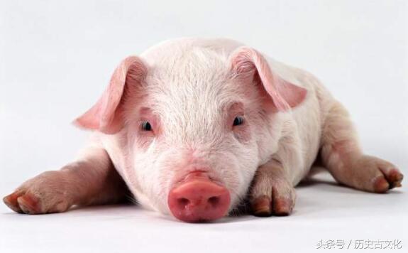 娆ф床鍥藉鍏ヤ镜鍙や唬涓師,娆ф床娓哥墽姘戞棌鍏ヤ镜