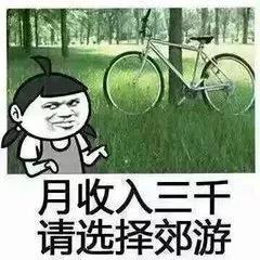 港澳低价旅行团,低价旅行团不买东西直接走