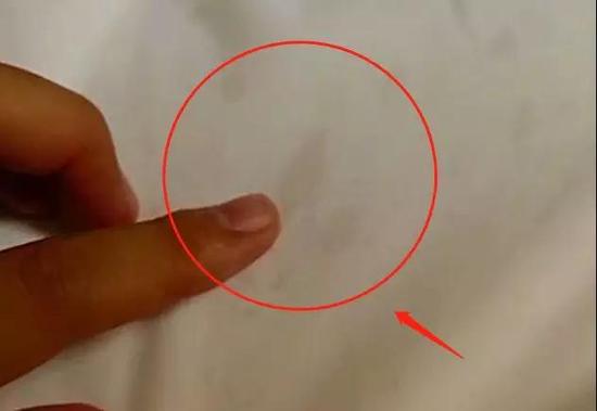 港澳低价旅行团,低价旅行团不买东西直接走