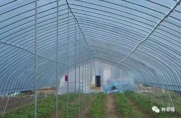 温室大棚120平方米建造价格一览表,温室大棚建造哪里最好