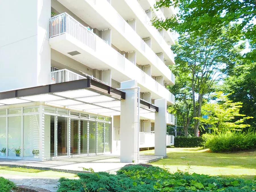 日本第四次消费来临,日本为什么出现第四消费时代