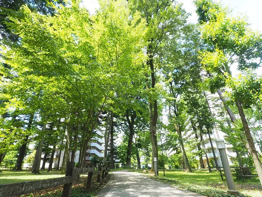 日本第四次消费来临,日本为什么出现第四消费时代