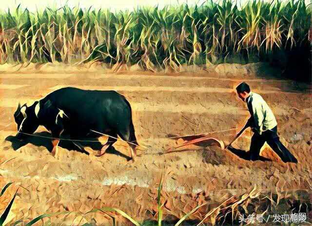 陕西关中六十年代农村土炕照片,记忆中的土炕