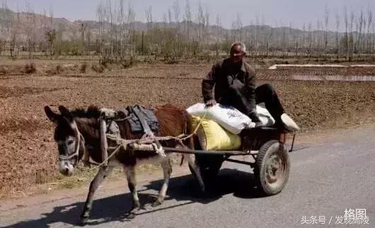 陕西关中六十年代农村土炕照片,记忆中的土炕