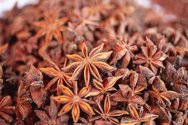 如何分辨八角有毒,怎样判断八角有没有毒