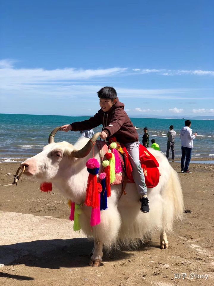 自驾15天西行游记,西北大环线吃住行详尽攻略