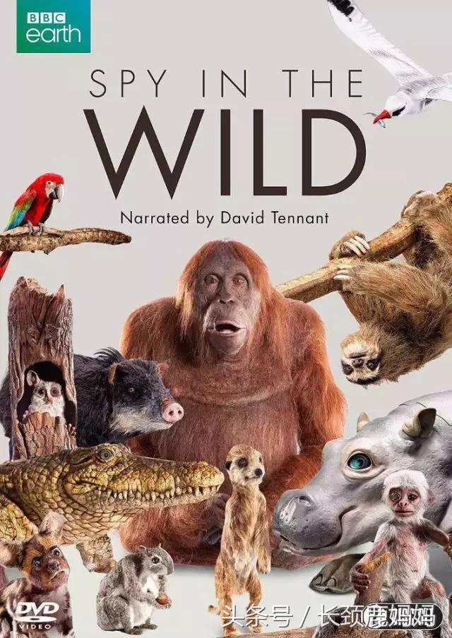 十部优秀中国儿童动画电影,6-12岁必看的十部电影儿童动画片