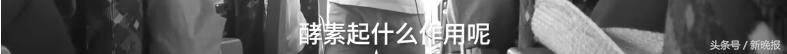 日本“坑爹游”专坑中国人：一个水杯3000元，导游说能“续命”