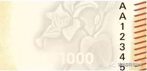 旧版港币怎么分真假,港币换新钞真假