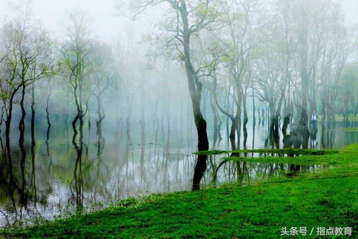 语文中考必考100个成语,中考常考易错成语有哪些