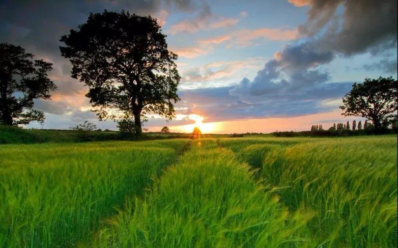 哲学真的那么高深莫测吗,为什么要读懂哲学