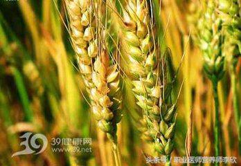 胃胀不消化用食疗怎么调理,胃胀胃痛不消化怎么办快速解决