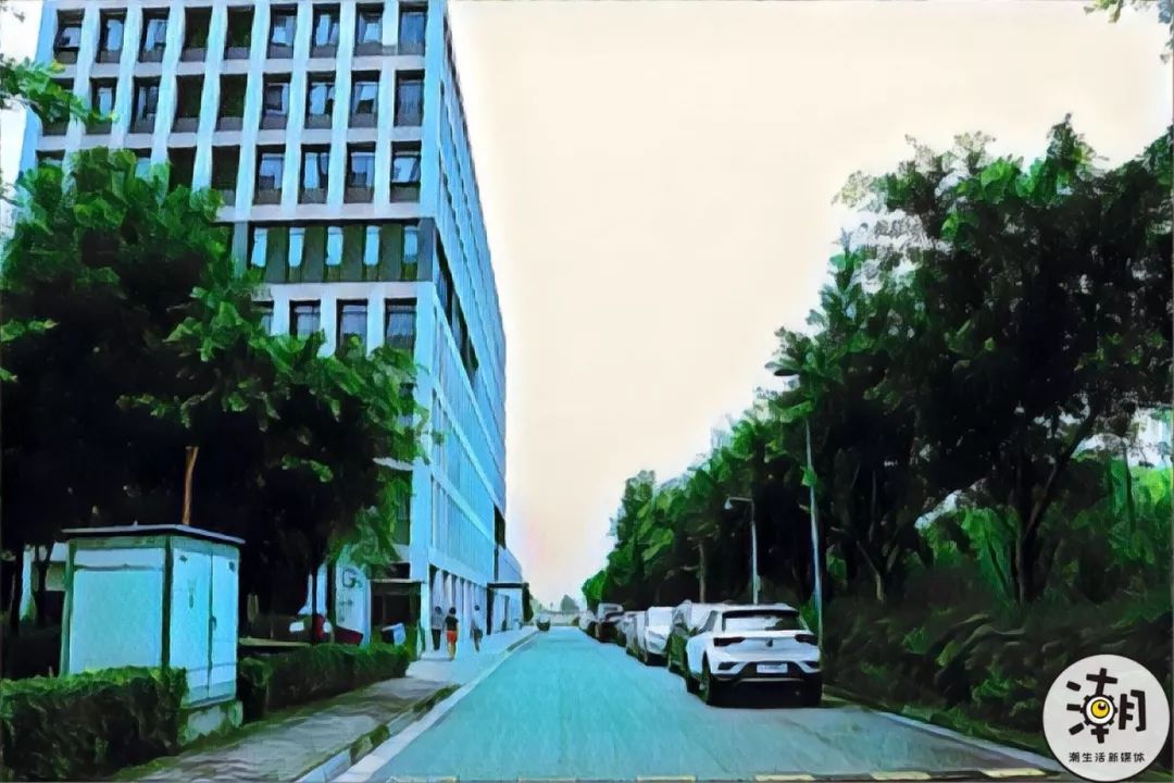 19765步亲测软件园，在这里上班是种什么样的体验？