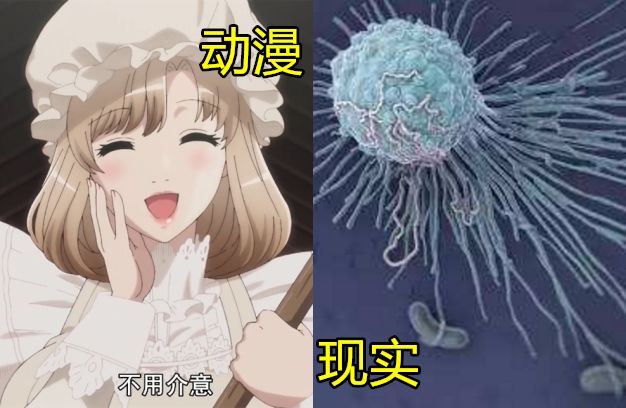 动漫很美好现实很残酷,动漫很幼稚但很美好