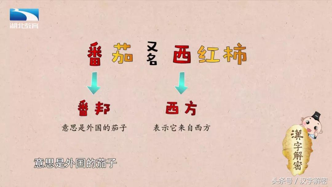 汉字解密｜番：番茄的番为什么没有草字头？