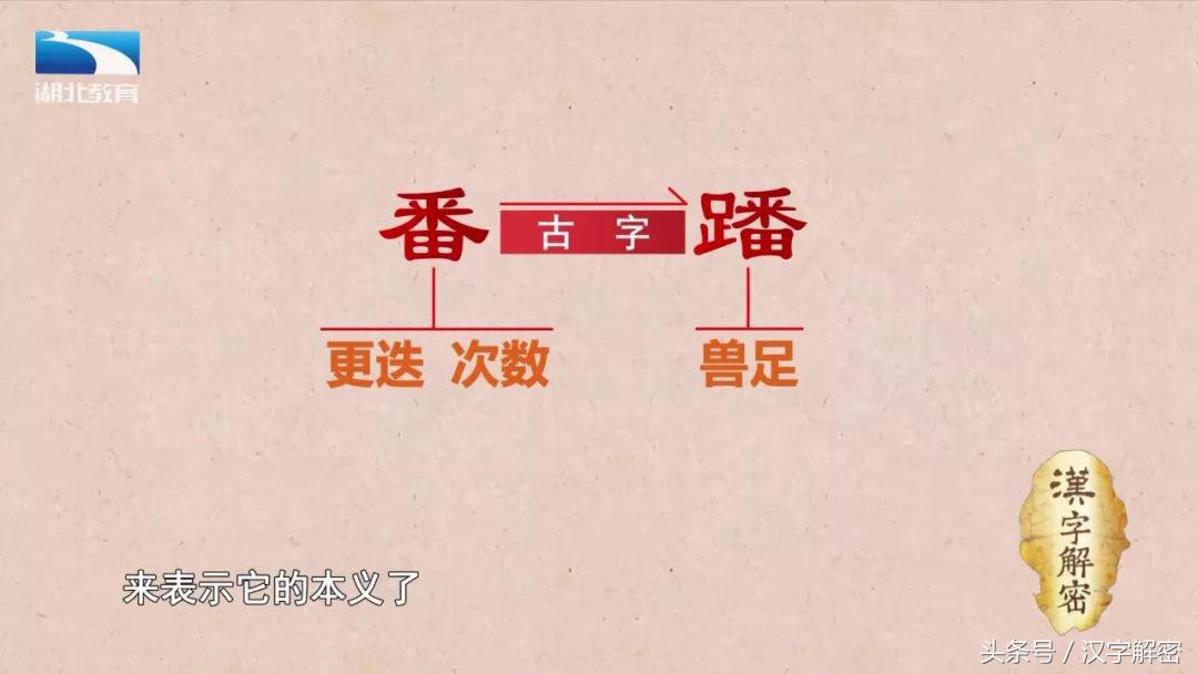 汉字解密｜番：番茄的番为什么没有草字头？