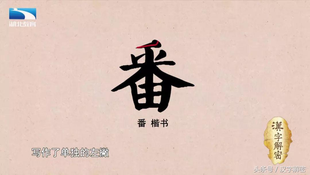 汉字解密｜番：番茄的番为什么没有草字头？