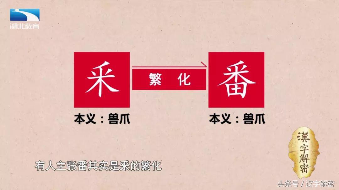 汉字解密｜番：番茄的番为什么没有草字头？