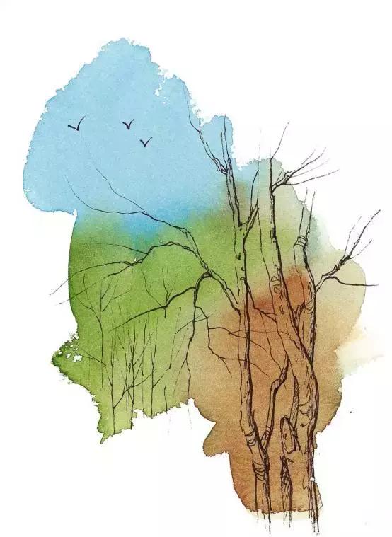 水彩画超详细用色步骤,水彩画技巧和经验