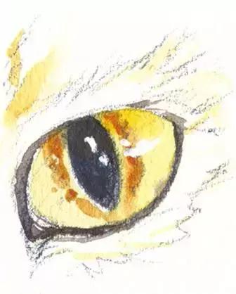 水彩画超详细用色步骤,水彩画技巧和经验