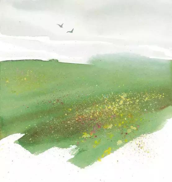 水彩画超详细用色步骤,水彩画技巧和经验