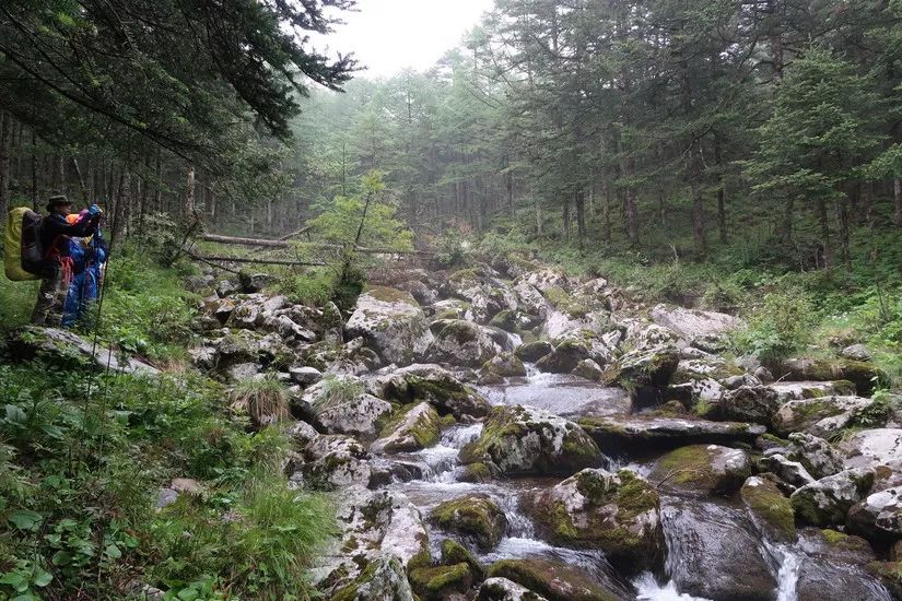 够用自行车推荐,既可以通勤又可以骑行的背包