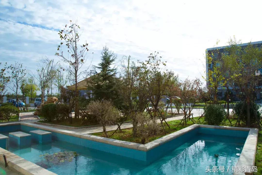 qst青软集团实训基地,qst青软实训基地在哪里