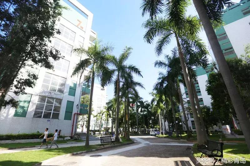 qst青软集团实训基地,qst青软实训基地在哪里